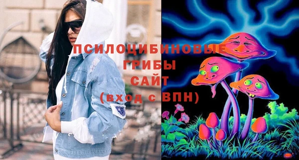 дурь Алексин