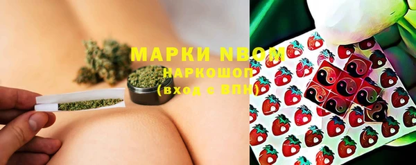 дурь Алексин