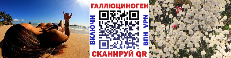 OMG рабочий сайт  наркота  Новозыбков  Галлюциногенные грибы Cubensis 