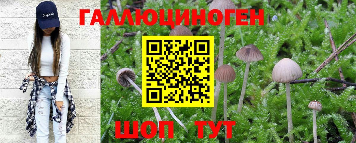 Псилоцибиновые грибы MAGIC MUSHROOMS Новозыбков