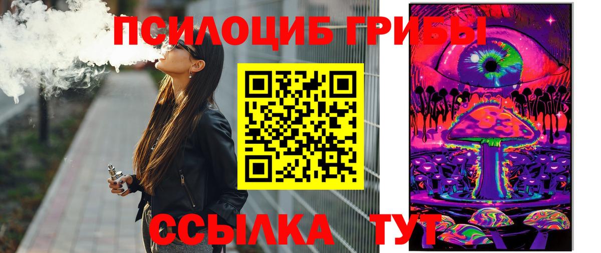Новозыбков  Псилоцибиновые грибы Psilocybine cubensis  Галлюциногенные грибы MAGIC MUSHROOMS  Вход с VPN 